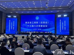 2025湖北平易近营企业100强榜单发布 这些企业上榜